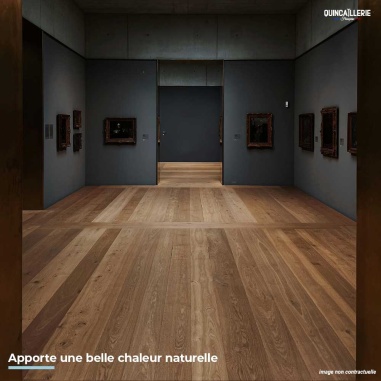 Huile parquet Blanchon incolore - 5L