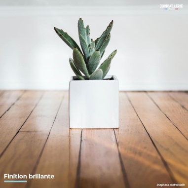 Finition brillante - Blanchon vitrificateur Océanic brillant 5L