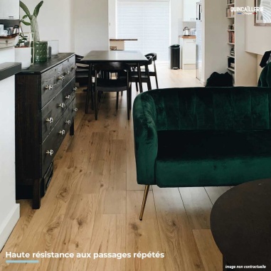 Haute résistance aux passages répétés - Blanchon vitrificateur mat 5L parquet environnement biosourcé