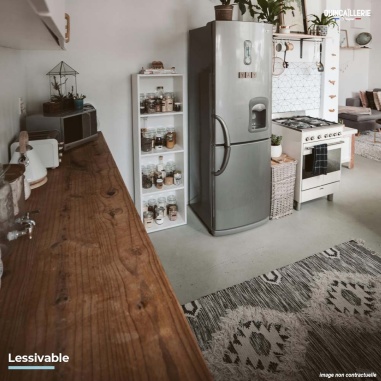 Lessivable