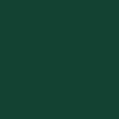 RAL Vert basque satiné