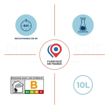 Blanchon vitrificateur VP satiné 10L