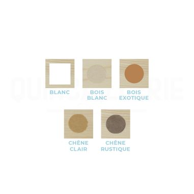 Nuancier Mastic bois Blanchon 400g