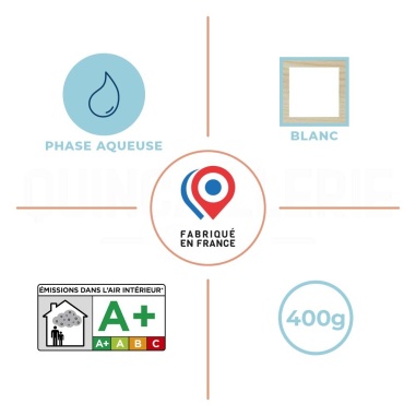 Caractéristiques de Mastic à bois blanc Blanchon 400g