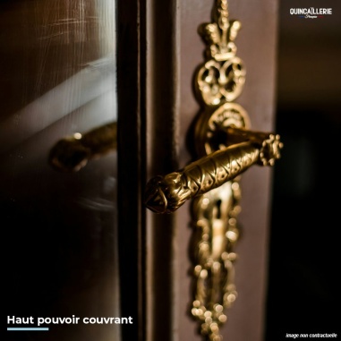 Image illustrative poignée dorée