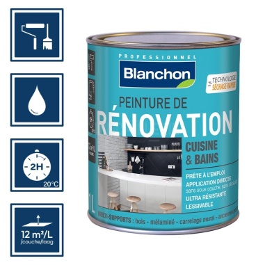 Pictos : application au rouleau; recouvrable 2h; nettoyage ustensiles à l'eau; rendement 12m²/l/couche