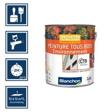 Pictos : application pinceaux; recouvrable 2h; utilisation pistolet; rendement 10 à 12m²/l/couche