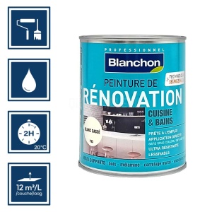 Blanchon peinture de rénovation (Bains & cuisine) - 1L blanc cassé 2