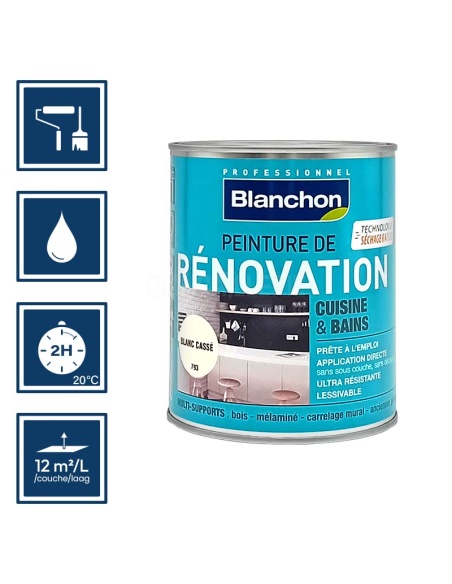 Pictos : application au rouleau; recouvrable 2h; nettoyage ustensiles à l'eau; rendement 12m²/l/couche