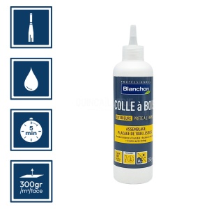 Colle à bois pour bois extérieure D3 250g - Blanchon 2