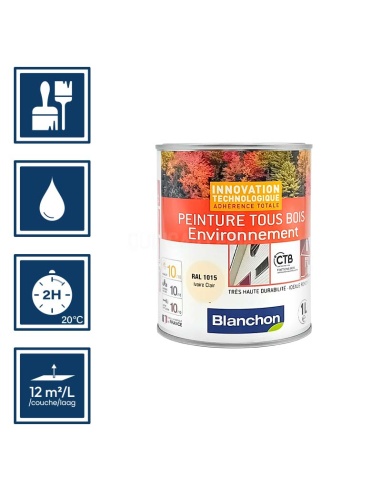 Pictos : application pinceaux; recouvrable 2h; utilisation pistolet; rendement 10 à 12m²/l/couche