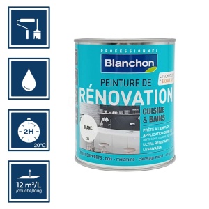 Peinture de rénovation blanc 1L Blanchon - Pour cuisine et salle de bains 2