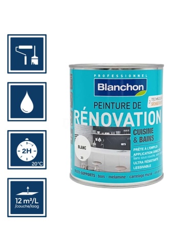 Pictos : application au rouleau; recouvrable 2h; nettoyage ustensiles à l'eau; rendement 12m²/l/couche